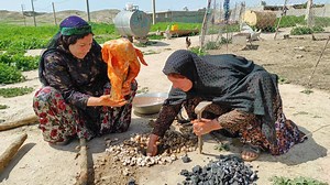 13K views · 714 reactions | Making steamed chicken under the fire by a nomadic woman in the traditional way | Family Cooking | Facebook