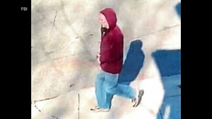 Dozens of homemade pipe bombs found in suspect's New York home, police say