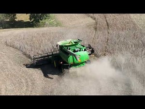 Wood Farms Family Harvest 2022