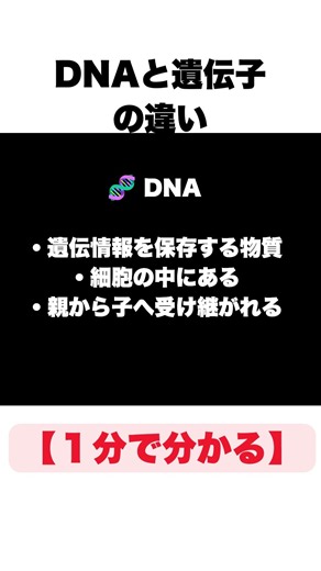 【1分で分かる】DNAと遺伝子の違い #雑学 #shorts #1分で分かるシリーズ #精子 #遺伝