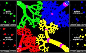 【树枝成长对战】2021.9.28