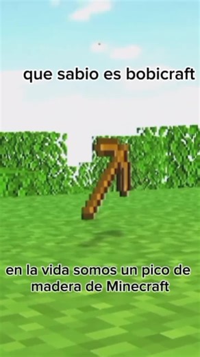 #CapCut que sabio es bobicraft #bobicraft #Minecraft #picodemadera