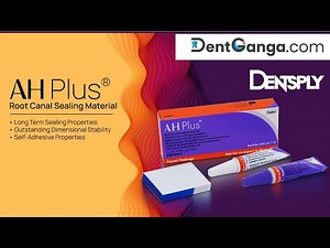 Dentsply AH Plus | Root Canal Sealing Material | Dentganga | Vatech India