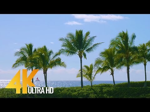 Best Beaches of Oahu, Hawaii in 4K - Long Relax Video with Nature Sound (6-Hour)