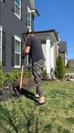 No Dig Gardening Hack Year 2 Updates - It works #gardening #diy #springgardening