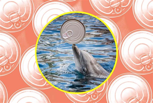 What Exactly Is Dolphin-Safe Tuna?