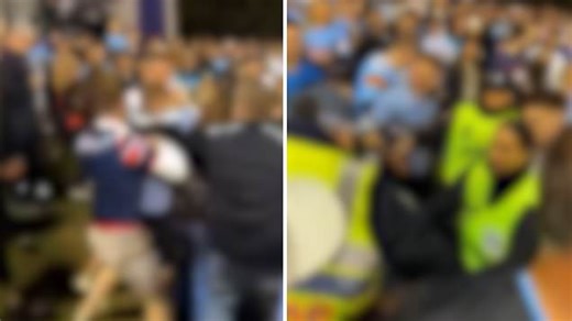 Fists fly in wild brawl between NRL rival supporters at Sharks vs Roosters