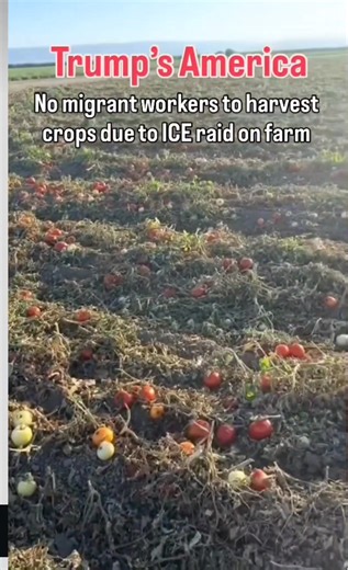 1.3K views · 39 reactions | Portillo Patsy on Reels | Facebook