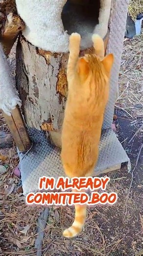 Hahaha_🤣We'll See When U Get Pink-Eye #XtraOrange