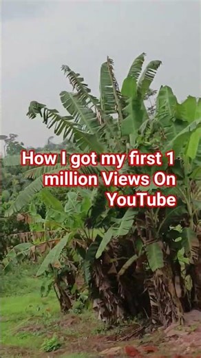 How I got my first 1 million Views On YouTube part 2 #7hubent #shorts