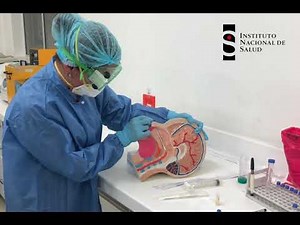 Toma de muestras para un correcto diagnóstico de los virus respiratorios- INS