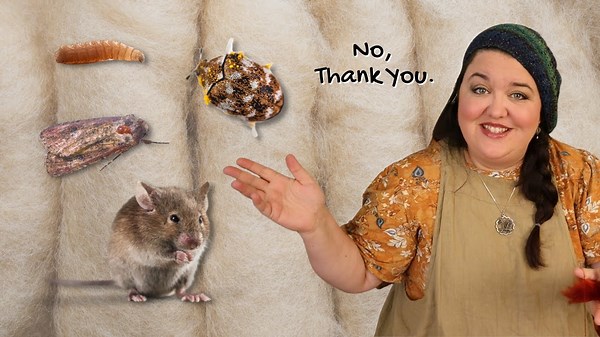 Keep wool moths away: Expert tricks for fibers and handknits