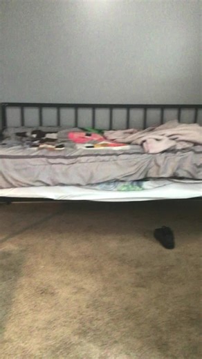 Flying roach (@flyingroach18)’s videos with