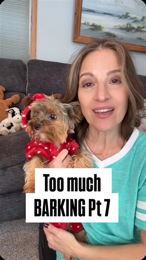 9.6K views · 1.6K reactions | Positive and Negative Reinforcement strategies for barking yorkies, morkies and toy poodles #yorkies #barkingdogs | Midwest Yorkie | Facebook