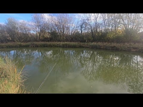 Pescuit la crap test*1