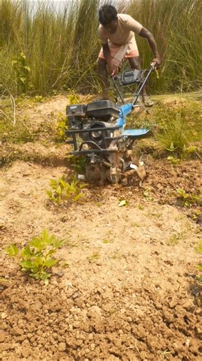 #Nirai-Gurai #2 Blade #Power weeder #Back Gear #farming