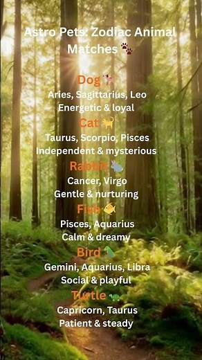🐾 Astro Pets Zodiac Animal Matches