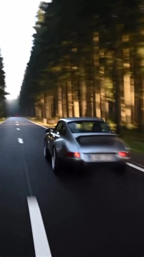 RennEleven on Instagram: "🔊 SOUND UP 🔊 🎥 @lorishezemans 🚘 @avd_arens The whole point of owning a Porsche rolled into 18 seconds of reel. Arens Vehicle Design, the East Belgian based Porsche builder use their 3.8 litre 964 based backdate properly. As a potential customer, don’t you want to know their cars can be put through their paces? #RennEleven #AVD #ArensVehicleDesign #964 #Porsche964 #AVDBC1"