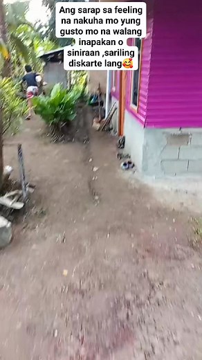 59 reactions · 14 comments | My Safe Haven 勺勺勺 See you soon ❤️ @highlight | EN EN | Facebook