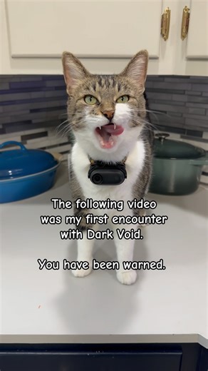 171K views · 52K reactions | The First Appearance of Dark Void ‍⬛ #love #cat #cats #funny #nature #video #jojo #jojosbizarreadventure | mr.kitters.the.cat | Facebook
