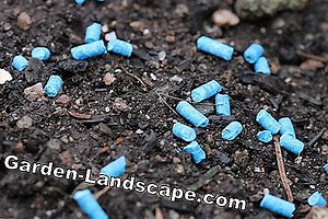 Other: Is slug pellet poisonous? Dangers for children, cats and animals in the garden | 2025