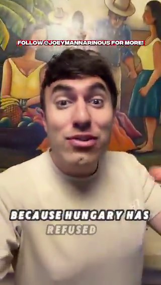 Peter Magyar is not a right-wing nationalist.That’s not humanly possible if he’s going to keep his campaign promises. People actually believe this?