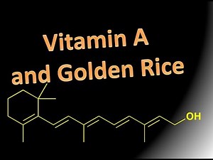 Vitamin A, visual cycle and golden rice.