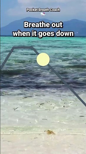 Breathing Techniques for Anxiety | 4-2-6-2 Guided Exercise