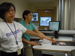 A Day In The Life of The Library