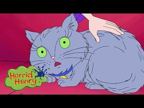 Horrid Henry - Fluffy the Cat | Cartoons For Children | Horrid Henry compilation mix | HFFE