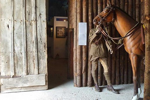 War Horse Valley Country Park Farm - Places to visit on Dartmoor