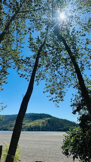 📍CLUB DE YATES, HUALQUI El Club de Yates, es un espacio de libre acceso junto al Río Bio Bio, perfecto para pasar un buen momento cerca de la ciudad. SE PUEDE LLEGAR: 🚊En tren, desde la estación de Hualqui al club de yates, 20 min caminando, pueden ver los horarios en Facebook en la página de “BIOTREN” 🚨DATAZO: Los días domingos pueden subirse al tren con la bicicleta 🚲 🚐 En micro, tienen que tomar LAS GALAXIAS, la que se dirige a hualqui y hay que bajarse en la estación de trenes de hualqu