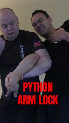 PYTHON ARM LOCK #training #martialarts #shorts