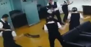 Giant python interrupts meeting, falls through ceiling at a Chinese bank – Watch video