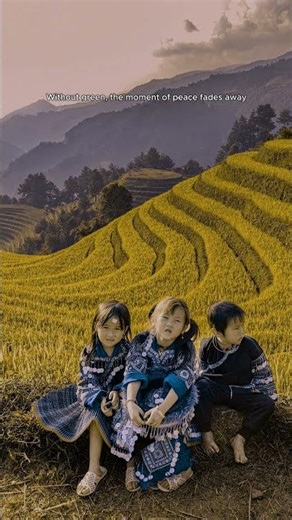 Mu Cang Chai: A Rest beside the Golden Season | Deuteranopia Simulation | Color Vision Physiology