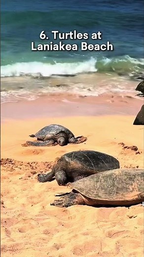 ✨🌺 10 BEST THINGS TO DO IN OAHU, HAWAII 🌴✨