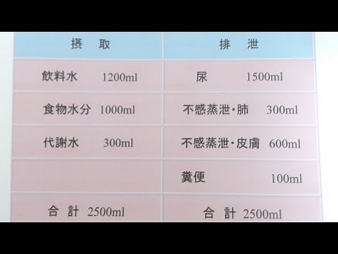 看護学生講座 107 栄養 ｢代謝水って何？ 看護過程に使えるinoutバランスの計算｣