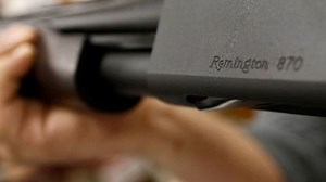 An imPERFect action plan on gun violence