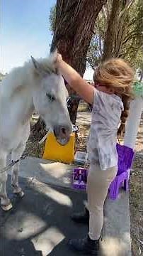 Tickling my ponies lips