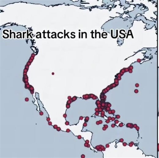 Scary #flyingshark #woods #shark #america #trending #tiktokcreator #map