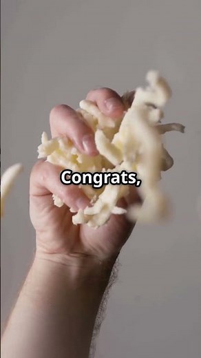 white cheese | How to make it at home