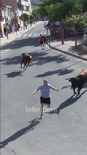 😱👏🏼 Se ATREVIÓ con 6 TOROS al MISMO TIEMPO!