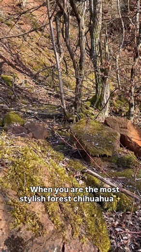 1.7K views · 76 reactions | Happy throwback Thursday Frens  Just a...