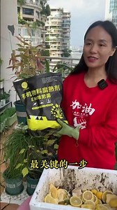 Repurpose Kitchen Scraps into Humus Soil