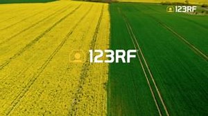 Spring has sprung, and the world is in bloom! Watch as we celebrate the arrival of this beautiful season filled with new beginnings and fresh possibilities 🌸🌷🌼 Check out the audio and footage compiled in the video here: https://123rf.to/IntheMoodforSpring Also, get 30% OFF ON ALL PLANS using the code SPRING30 at checkout: https://123rf.to/spring #SpringIsHere #HelloSpring #NewBeginnings #123RF #CreateWith123RF | 123RF