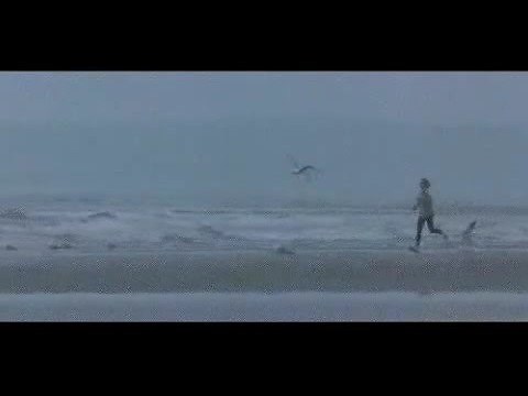 Une bouteille à la mer