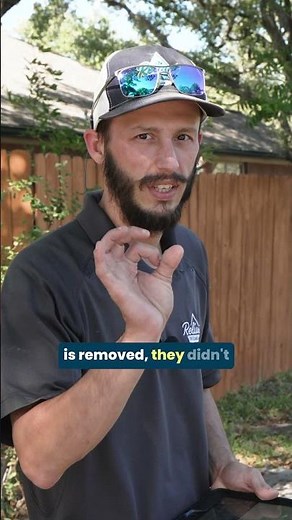 A Mouse Chewed a Dishwasher Hose. What should you do?