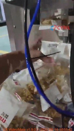 Ten-head packaging machine#potato chips#Popcorn#biscuit | Xue Zhang