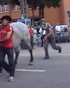 Funny Fail Videos on Instagram: "Me getting rejected by my crush 😂"