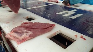 Cleaning of turkey fillets in line in a poultry slaughterhouse. Natural lighting conditions